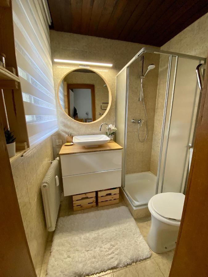 Studio Apartment Bkk Бад Клайнкирххайм Екстериор снимка